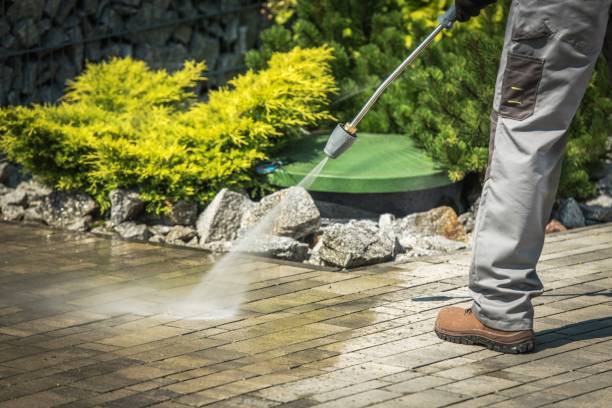 Best Boat and Dock Cleaning  in The Woodlands, TX
